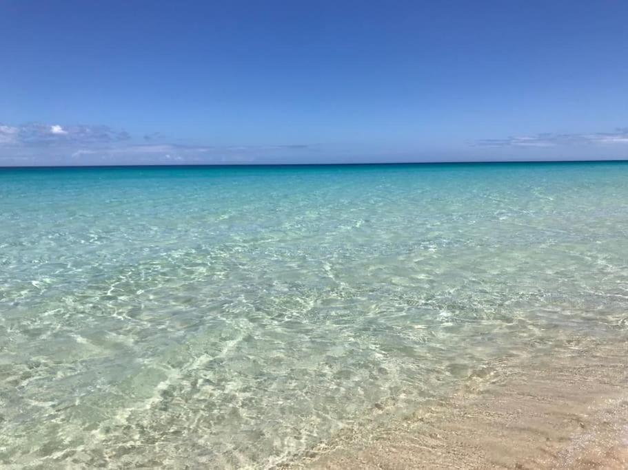 Chic&Surf Dunes View Lumineux Et Vue Superbe ! Corralejo Ngoại thất bức ảnh