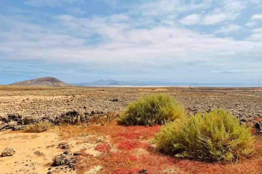 Chic&Surf Dunes View Lumineux Et Vue Superbe ! Corralejo Ngoại thất bức ảnh